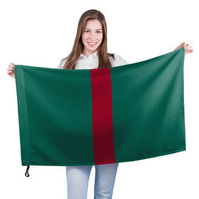 Флаг 3D с принтом Зеленый/бордовый в Петрозаводске, 100% полиэстер | плотность ткани — 95 г/м2, размер — 67 х 109 см. Принт наносится с одной стороны | gucci | гучи | гуччи | полосы