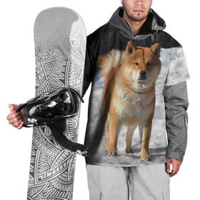 Накидка на куртку 3D с принтом Акита-ину в Петрозаводске, 100% полиэстер |  | акита | животное | животные | ину | овчарка | пес | песик | псы | сиба | собака | собаки | шиба