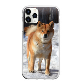Чехол для iPhone 11 Pro Max матовый с принтом Акита-ину в Петрозаводске, Силикон |  | Тематика изображения на принте: акита | животное | животные | ину | овчарка | пес | песик | псы | сиба | собака | собаки | шиба