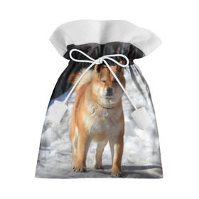 Подарочный 3D мешок с принтом Акита-ину в Петрозаводске, 100% полиэстер | Размер: 29*39 см | Тематика изображения на принте: акита | животное | животные | ину | овчарка | пес | песик | псы | сиба | собака | собаки | шиба