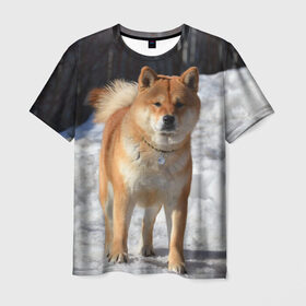 Мужская футболка 3D с принтом Акита-ину в Петрозаводске, 100% полиэфир | прямой крой, круглый вырез горловины, длина до линии бедер | Тематика изображения на принте: акита | животное | животные | ину | овчарка | пес | песик | псы | сиба | собака | собаки | шиба