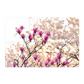 Магнитный плакат 3Х2 с принтом Сакура в Петрозаводске, Полимерный материал с магнитным слоем | 6 деталей размером 9*9 см | деревья | красота | небо | природа | сакура | цветение | цветы | япония