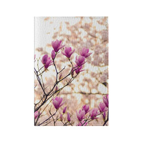 Обложка для паспорта матовая кожа с принтом Сакура в Петрозаводске, натуральная матовая кожа | размер 19,3 х 13,7 см; прозрачные пластиковые крепления | деревья | красота | небо | природа | сакура | цветение | цветы | япония