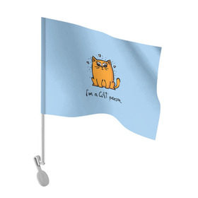 Флаг для автомобиля с принтом I am a Cat Person в Петрозаводске, 100% полиэстер | Размер: 30*21 см | Тематика изображения на принте: cat | домашние любимцы | животные | котики | котэ | котята | любовь | милые