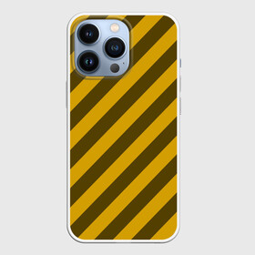 Чехол для iPhone 13 Pro с принтом Полосы в Петрозаводске,  |  | geometry | ornament | patterns | striped | texture | геометрия | орнамент | полосы | текстура | узоры