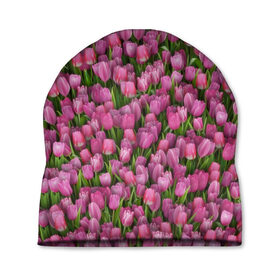 Шапка 3D с принтом Розовые тюльпаны в Петрозаводске, 100% полиэстер | универсальный размер, печать по всей поверхности изделия | Тематика изображения на принте: 