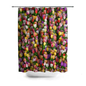 Штора 3D для ванной с принтом Разноцветные тюльпаны в Петрозаводске, 100% полиэстер | плотность материала — 100 г/м2. Стандартный размер — 146 см х 180 см. По верхнему краю — пластиковые люверсы для креплений. В комплекте 10 пластиковых колец | Тематика изображения на принте: 8 марта | tulip | белый | букет | желтый | зеленый | красный | паттерн | розовый | тюльпан | тюльпанчики | цветок | цветочки | цветы
