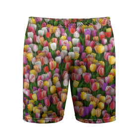 Мужские шорты 3D спортивные с принтом Разноцветные тюльпаны в Петрозаводске,  |  | 8 марта | tulip | белый | букет | желтый | зеленый | красный | паттерн | розовый | тюльпан | тюльпанчики | цветок | цветочки | цветы