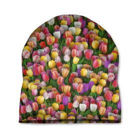 Шапка 3D с принтом Разноцветные тюльпаны в Петрозаводске, 100% полиэстер | универсальный размер, печать по всей поверхности изделия | 8 марта | tulip | белый | букет | желтый | зеленый | красный | паттерн | розовый | тюльпан | тюльпанчики | цветок | цветочки | цветы