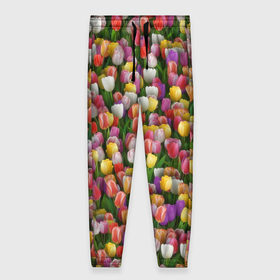 Женские брюки 3D с принтом Разноцветные тюльпаны в Петрозаводске, полиэстер 100% | прямой крой, два кармана без застежек по бокам, с мягкой трикотажной резинкой на поясе и по низу штанин. В поясе для дополнительного комфорта — широкие завязки | 8 марта | tulip | белый | букет | желтый | зеленый | красный | паттерн | розовый | тюльпан | тюльпанчики | цветок | цветочки | цветы