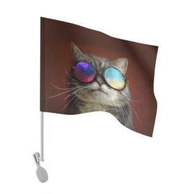 Флаг для автомобиля с принтом котейки в Петрозаводске, 100% полиэстер | Размер: 30*21 см | cat | взгляд | космос | кот | котик | очки