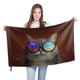 Флаг 3D с принтом котейки в Петрозаводске, 100% полиэстер | плотность ткани — 95 г/м2, размер — 67 х 109 см. Принт наносится с одной стороны | cat | взгляд | космос | кот | котик | очки