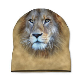 Шапка 3D с принтом Лев в Петрозаводске, 100% полиэстер | универсальный размер, печать по всей поверхности изделия | голова | животные | кошка | лев | львица | природа | хищник