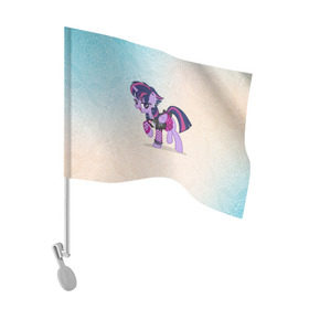 Флаг для автомобиля с принтом My Little Pony в Петрозаводске, 100% полиэстер | Размер: 30*21 см | мой маленький пони | мультфильм