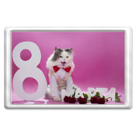 Магнит 45*70 с принтом Милый кот поздравляет с 8 март в Петрозаводске, Пластик | Размер: 78*52 мм; Размер печати: 70*45 | 