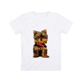 Детская футболка хлопок с принтом Нарисованный йорк в Петрозаводске, 100% хлопок | круглый вырез горловины, полуприлегающий силуэт, длина до линии бедер | Тематика изображения на принте: йорк | йоркширский терьер | нарисованная собака | собаки