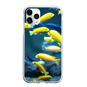 Чехол для iPhone 11 Pro матовый с принтом Рыбки в Петрозаводске, Силикон |  | fish | fishes | pisces | море | морские обитатели | морской | океан | рыбы