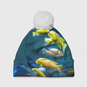 Шапка 3D c помпоном с принтом Рыбки в Петрозаводске, 100% полиэстер | универсальный размер, печать по всей поверхности изделия | fish | fishes | pisces | море | морские обитатели | морской | океан | рыбы