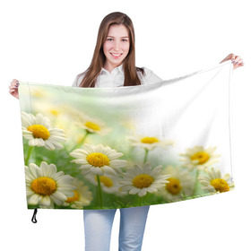 Флаг 3D с принтом Полевые ромашки в Петрозаводске, 100% полиэстер | плотность ткани — 95 г/м2, размер — 67 х 109 см. Принт наносится с одной стороны | луг | поле | цветы
