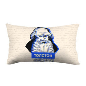 Подушка 3D антистресс с принтом Лев Толстой в Петрозаводске, наволочка — 100% полиэстер, наполнитель — вспененный полистирол | состоит из подушки и наволочки на молнии | 