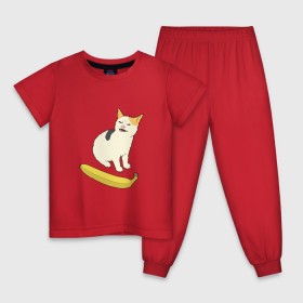 Детская пижама хлопок с принтом Cat no banana в Петрозаводске, 100% хлопок |  брюки и футболка прямого кроя, без карманов, на брюках мягкая резинка на поясе и по низу штанин
 | Тематика изображения на принте: angry cat | banana | cat | no banana