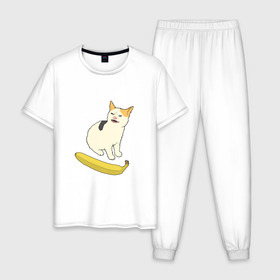 Мужская пижама хлопок с принтом Cat no banana в Петрозаводске, 100% хлопок | брюки и футболка прямого кроя, без карманов, на брюках мягкая резинка на поясе и по низу штанин
 | angry cat | banana | cat | no banana