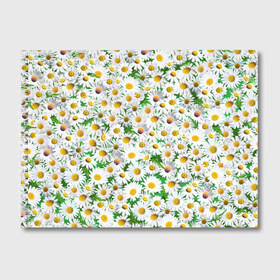 Альбом для рисования с принтом Ромашки в Петрозаводске, 100% бумага
 | матовая бумага, плотность 200 мг. | chamomile | daisies | flowers | nature | природа | растения | ромашки | текстура | цветы