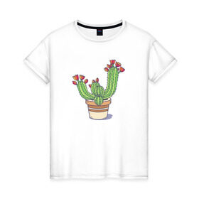 Женская футболка хлопок с принтом Кактус в Петрозаводске, 100% хлопок | прямой крой, круглый вырез горловины, длина до линии бедер, слегка спущенное плечо | горшок | растение | цветет | цветок