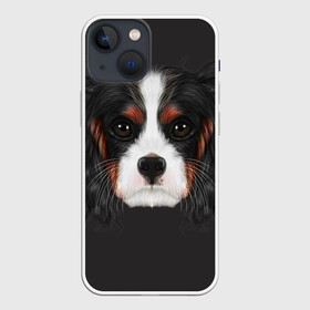 Чехол для iPhone 13 mini с принтом Cavalier King Charles в Петрозаводске,  |  | голова | собака | спаниель