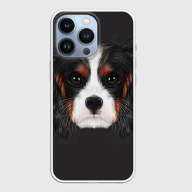 Чехол для iPhone 13 Pro с принтом Cavalier King Charles в Петрозаводске,  |  | голова | собака | спаниель