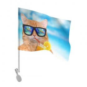 Флаг для автомобиля с принтом Кот на пляже в Петрозаводске, 100% полиэстер | Размер: 30*21 см | summer | апельсиновый сок | кот | кот на пляже | коте | котик | котэ | котяра | лето | море | небо | отдых | очки | пляже