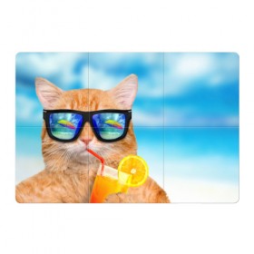 Магнитный плакат 3Х2 с принтом Кот на пляже в Петрозаводске, Полимерный материал с магнитным слоем | 6 деталей размером 9*9 см | summer | апельсиновый сок | кот | кот на пляже | коте | котик | котэ | котяра | лето | море | небо | отдых | очки | пляже