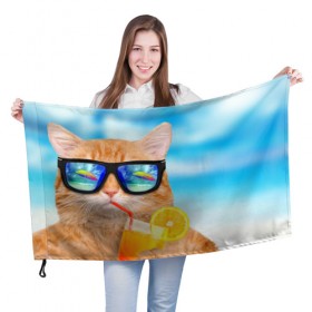 Флаг 3D с принтом Кот на пляже в Петрозаводске, 100% полиэстер | плотность ткани — 95 г/м2, размер — 67 х 109 см. Принт наносится с одной стороны | summer | апельсиновый сок | кот | кот на пляже | коте | котик | котэ | котяра | лето | море | небо | отдых | очки | пляже