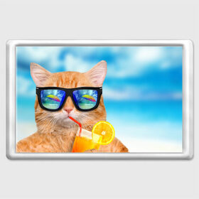 Магнит 45*70 с принтом Кот на пляже в Петрозаводске, Пластик | Размер: 78*52 мм; Размер печати: 70*45 | summer | апельсиновый сок | кот | кот на пляже | коте | котик | котэ | котяра | лето | море | небо | отдых | очки | пляже