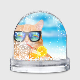 Водяной шар с принтом Кот на пляже в Петрозаводске, Пластик | Изображение внутри шара печатается на глянцевой фотобумаге с двух сторон | summer | апельсиновый сок | кот | кот на пляже | коте | котик | котэ | котяра | лето | море | небо | отдых | очки | пляже
