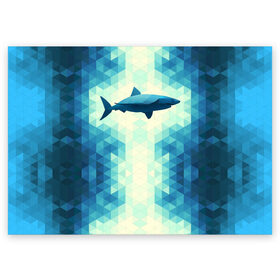 Поздравительная открытка с принтом Акула в Петрозаводске, 100% бумага | плотность бумаги 280 г/м2, матовая, на обратной стороне линовка и место для марки
 | Тематика изображения на принте: shark | водолаз | гарпун | глубина | дельфин | злость | зубы | кит | кровь | курорт | лето | море | океан | отдых | охота | плавник | пляж | риф | рыба | хищник | челюсти | челюсть