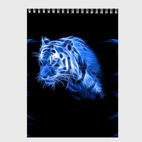 Скетчбук с принтом Синий тигр в Петрозаводске, 100% бумага
 | 48 листов, плотность листов — 100 г/м2, плотность картонной обложки — 250 г/м2. Листы скреплены сверху удобной пружинной спиралью | tiger | большая кошка | огонь | пламя | тигр | хищник