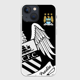 Чехол для iPhone 13 mini с принтом Manchester City Exclusive в Петрозаводске,  |  | Тематика изображения на принте: 2019 | exclusive | манчестер | сити | форма | эксклюзив