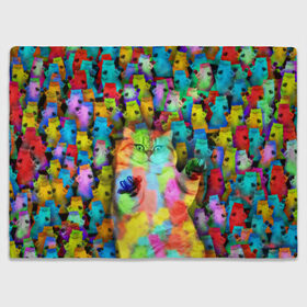 Плед 3D с принтом Котики на дискотеке в Петрозаводске, 100% полиэстер | закругленные углы, все края обработаны. Ткань не мнется и не растягивается | кошки | паттерн | психоделика | разноцветный | яркий