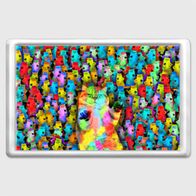 Магнит 45*70 с принтом Котики на дискотеке в Петрозаводске, Пластик | Размер: 78*52 мм; Размер печати: 70*45 | кошки | паттерн | психоделика | разноцветный | яркий