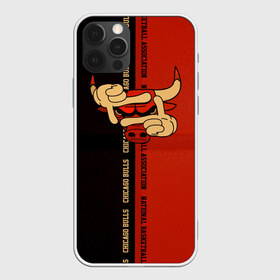 Чехол для iPhone 12 Pro Max с принтом NBA Chicago bulls в Петрозаводске, Силикон |  | basketball | chicago | chicago bulls | chicago buls | chikago | nba | баскетбол | буллз | буллс | бык | нба | чикаго буллз | чикаго буллс