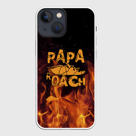 Чехол для iPhone 13 mini с принтом Papa Roach в Петрозаводске,  |  | papa roach | roach | папа роач | папароач | папароч | роач | роч