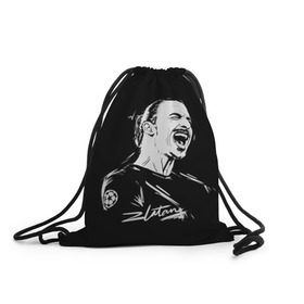 Рюкзак-мешок 3D с принтом Zlatan Ibrahimovic в Петрозаводске, 100% полиэстер | плотность ткани — 200 г/м2, размер — 35 х 45 см; лямки — толстые шнурки, застежка на шнуровке, без карманов и подкладки | football | златан ибрагимович | игрок | сборная швеции | футбол | футболист