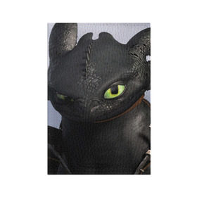 Обложка для паспорта матовая кожа с принтом как приручить дракона в Петрозаводске, натуральная матовая кожа | размер 19,3 х 13,7 см; прозрачные пластиковые крепления | Тематика изображения на принте: how to train your dragon | беззубик | дракон | как приручить дракона | ночная фурия