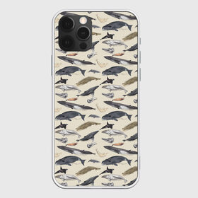 Чехол для iPhone 12 Pro Max с принтом Whales pattern в Петрозаводске, Силикон |  | Тематика изображения на принте: whale | акула | горбач | касатка | кашалот | кит | море | океан | рыбы | синий кит
