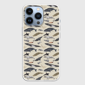 Чехол для iPhone 13 Pro с принтом Whales pattern в Петрозаводске,  |  | whale | акула | горбач | касатка | кашалот | кит | море | океан | рыбы | синий кит