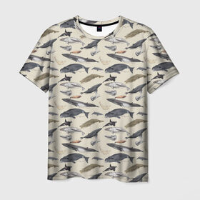 Мужская футболка 3D с принтом Whales pattern в Петрозаводске, 100% полиэфир | прямой крой, круглый вырез горловины, длина до линии бедер | whale | акула | горбач | касатка | кашалот | кит | море | океан | рыбы | синий кит