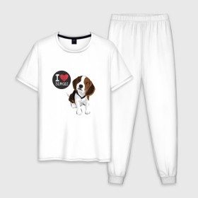 Мужская пижама хлопок с принтом Я люблю Бигля в Петрозаводске, 100% хлопок | брюки и футболка прямого кроя, без карманов, на брюках мягкая резинка на поясе и по низу штанин
 | Тематика изображения на принте: beagle | бигли | бигль | с биглем | с обакой | собака | собаки | собачки