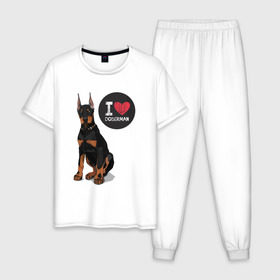 Мужская пижама хлопок с принтом Я люблю Добермана в Петрозаводске, 100% хлопок | брюки и футболка прямого кроя, без карманов, на брюках мягкая резинка на поясе и по низу штанин
 | Тематика изображения на принте: доберман | с доберманом | собака | собаки | собачки | я люблю