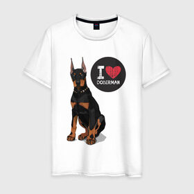 Мужская футболка хлопок с принтом Я люблю Добермана в Петрозаводске, 100% хлопок | прямой крой, круглый вырез горловины, длина до линии бедер, слегка спущенное плечо. | доберман | с доберманом | собака | собаки | собачки | я люблю